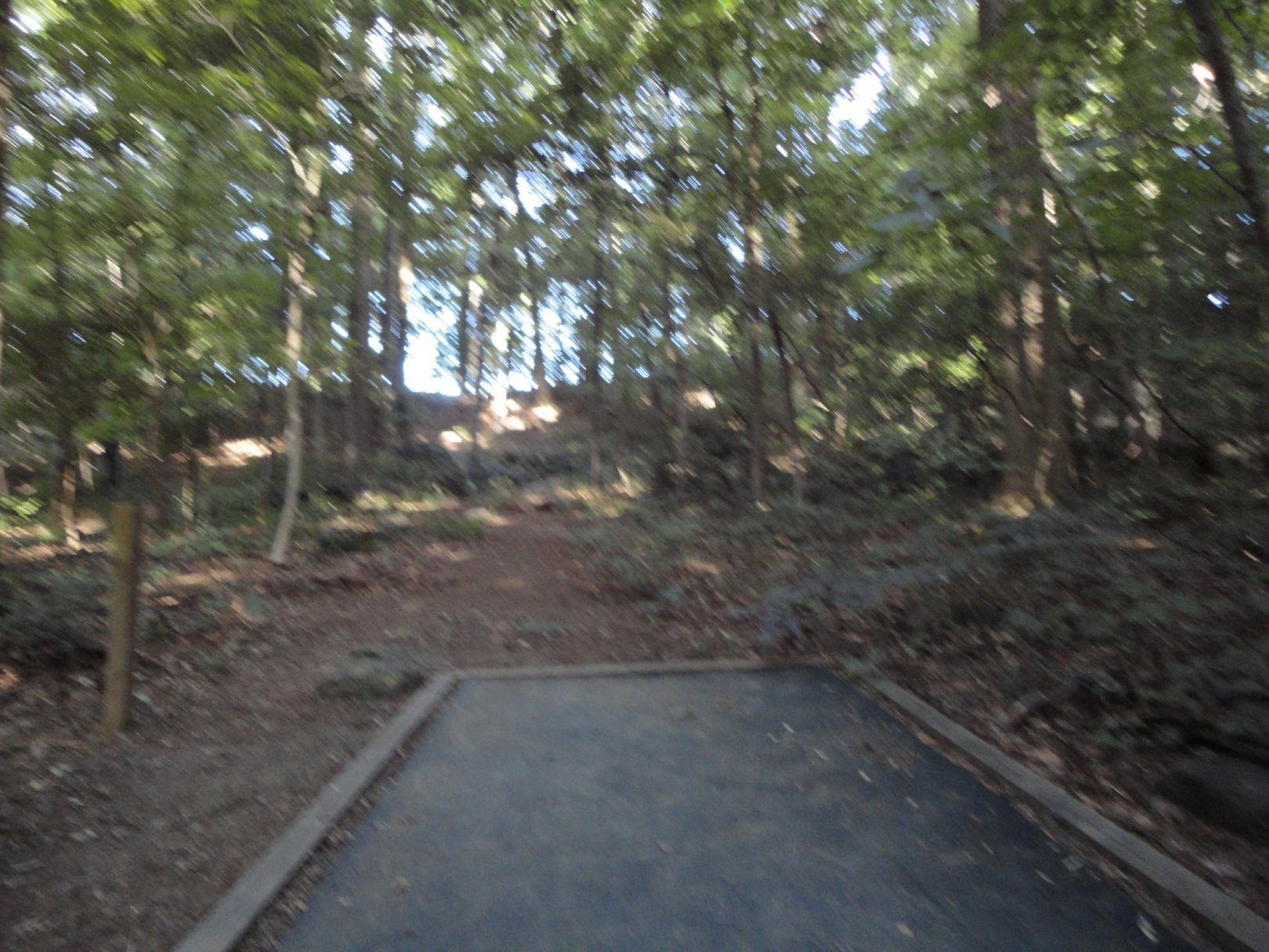 Hole 9 • Unami Creek Park (Quakertown, PA) Disc Golf Courses Disc Golf Scene