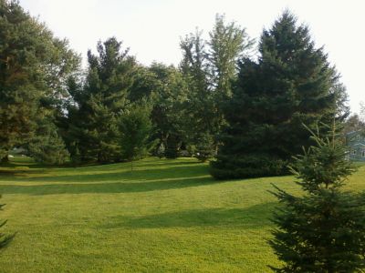 Thievin Pines, Main course, Hole 13 Tee pad