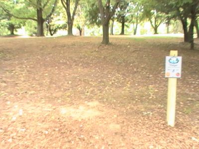 Wingfoot Lake State Park, Main course, Hole 8 Tee pad