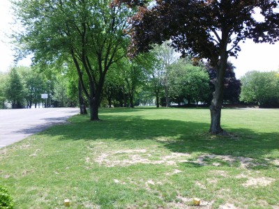 Wingfoot Lake State Park, Main course, Hole 5 Long tee pad