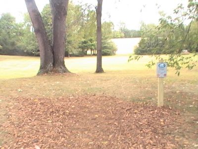 Wingfoot Lake State Park, Main course, Hole 17 Tee pad