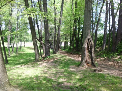 Wingfoot Lake State Park, Main course, Hole 10 Short tee pad