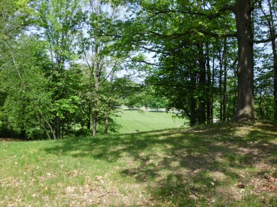 Wingfoot Lake State Park, Main course, Hole 8 Long tee pad