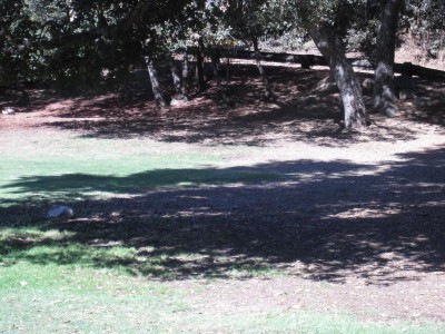 Oak Grove (Hahamongna Park), Main course, Hole 1 Putt