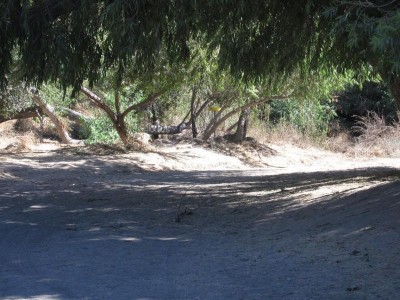 Oak Grove (Hahamongna Park), Main course, Hole 7 Putt