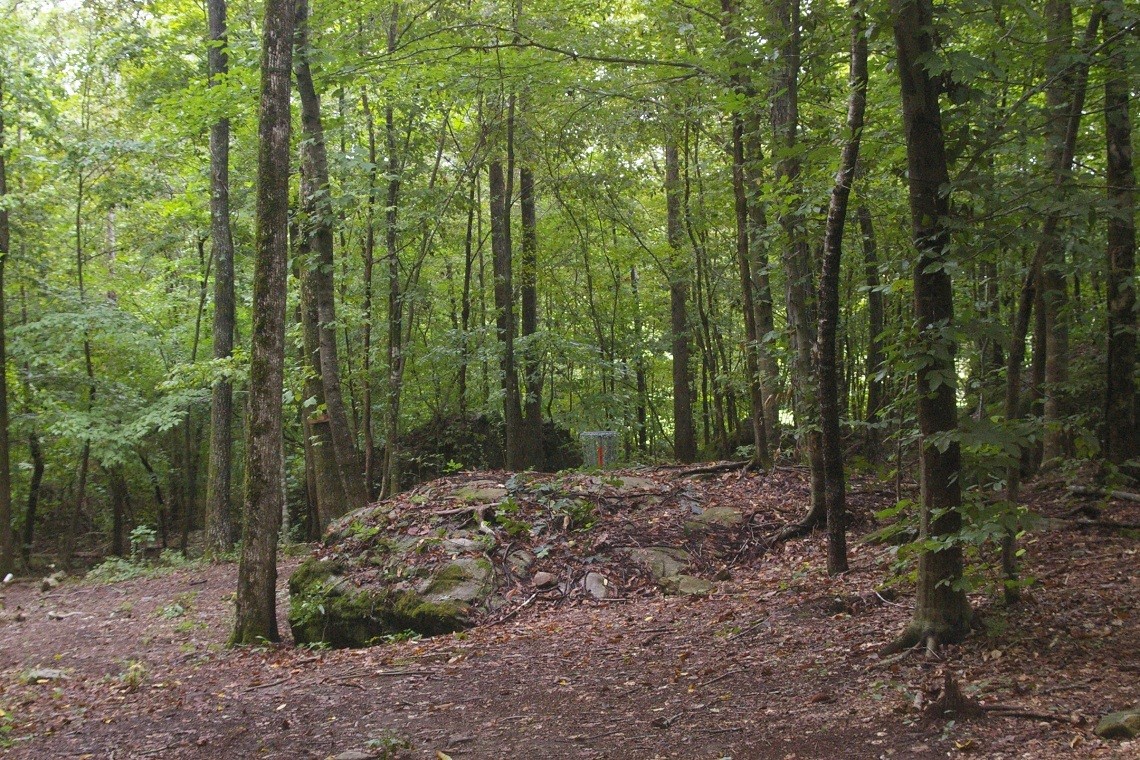 Hole 6 • Greg Carter Course / Civitan Park (Trussville AL) Disc Golf