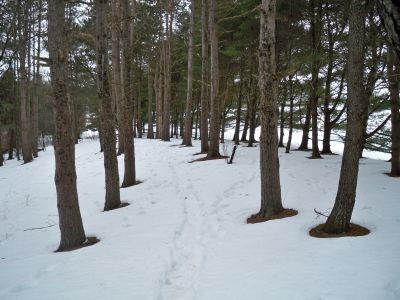 Buffumville Lake, Short Course, Hole 8 Tee pad