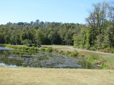 Old English Golf Course, Main course, Hole 12 Tee pad