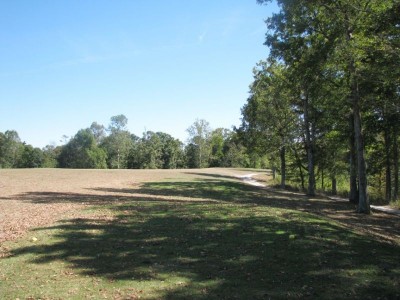 Old English Golf Course, Main course, Hole 16 Tee pad