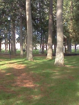 Salnave Park, Reitan DGC, Hole 2 Tee pad