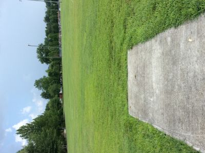 Ralph Stout Park, Main course, Hole 8 Tee pad