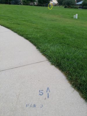 Louisville DGC, Main course, Hole 5 Tee pad