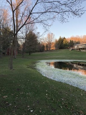 Mnt Pingree, Main course, Hole 6 Tee pad