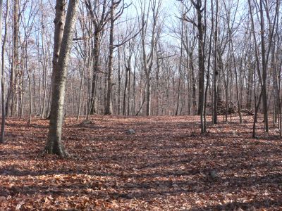 Veterans Memorial Park, Main course, Hole 4 Long approach