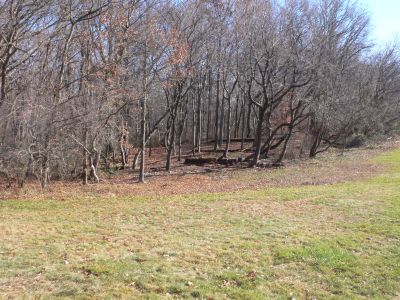 Veterans Memorial Park, Main course, Hole 1 Midrange approach