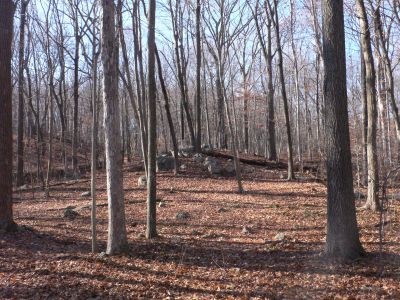 Veterans Memorial Park, Main course, Hole 6 Long approach