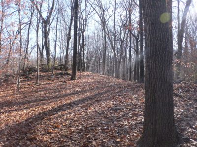 Veterans Memorial Park, Main course, Hole 2 Midrange approach