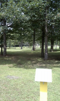 Taymouth Township Park, Old course, Hole 7 Tee pad