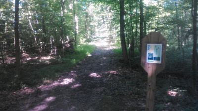 Mosquito Lake State Park, Main course, Hole 5 Long tee pad