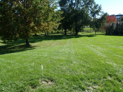 Messiah Village, Main course, Hole 5 Tee pad