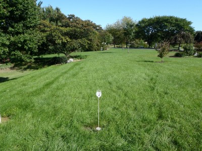 Messiah Village, Main course, Hole 8 Tee pad