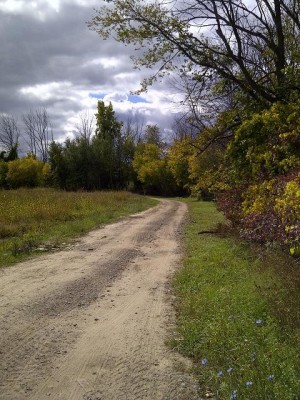 Tomahawk Park, Main course, Hole 5 Tee pad