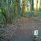 Picture of Hole_2