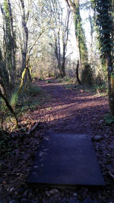 North Eco Park, Main course, Hole 4 Tee pad