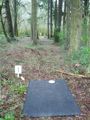 North Eco Park, Main course, Hole 1 Tee pad