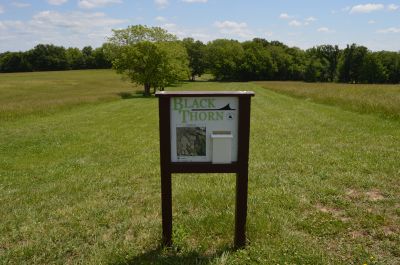 Paradise Point, Blackthorn, Hole 1 