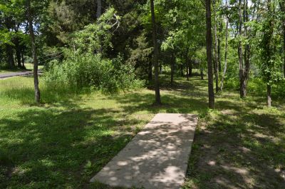 Paradise Point, Blackthorn, Hole 7 Tee pad