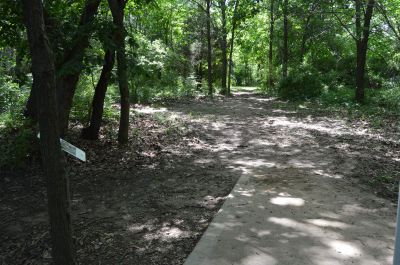 Paradise Point, Woodhenge, Hole 5 Tee pad