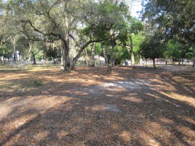 Under The Oaks, Main course, Hole 9 Short approach