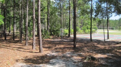 Freeport Regional Sports Complex, Chain Dragon, Hole 1 Short approach