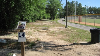 Freeport Regional Sports Complex, Chain Dragon, Hole 14 Tee pad