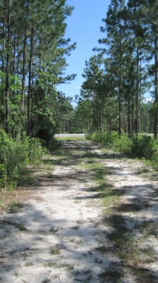 Freeport Regional Sports Complex, Chain Dragon, Hole 15 Long approach