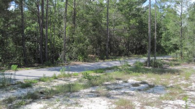 Freeport Regional Sports Complex, Chain Dragon, Hole 7 Midrange approach