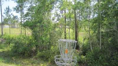 Freeport Regional Sports Complex, Chain Dragon, Hole 11 Reverse (back up the fairway)