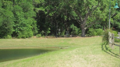 Freeport Regional Sports Complex, Chain Dragon, Hole 13 Midrange approach