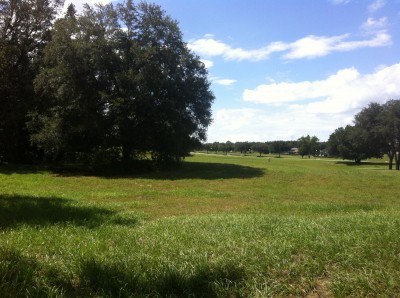 Rock Springs Ridge, Executive Course, Hole 8 Tee pad