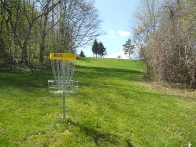 Bosquet DGC, Main course, Hole 14 Reverse (back up the fairway)