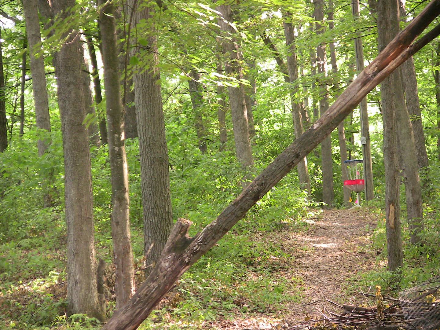 Hole 5 • Terrace Park (Traverse City, MI) Disc Golf Courses Disc Golf Scene