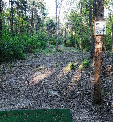 Flying Dragon, Main course, Hole 16 Tee pad