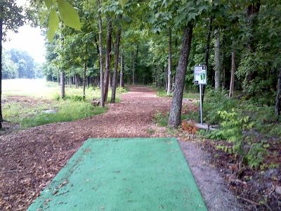 Flying Dragon, Main course, Hole 2 Tee pad