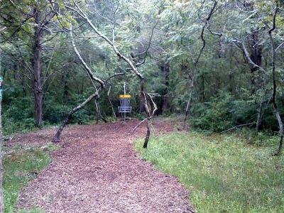 Flying Dragon, Main course, Hole 8 Short approach