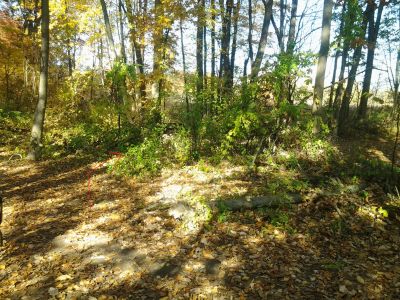 Vicksburg Recreation Area, Main course, Hole 6 