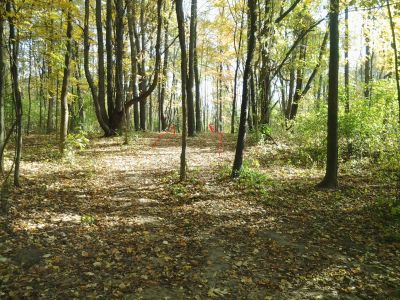 Vicksburg Recreation Area, Main course, Hole 13 Short tee pad