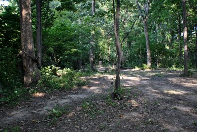 Vicksburg Recreation Area, Main course, Hole 5 Midrange approach