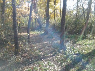 Vicksburg Recreation Area, Main course, Hole 12 Putt