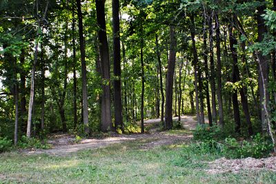 Vicksburg Recreation Area, Main course, Hole 2 Long approach